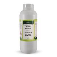Концентрированная морилка протрава на водной основе WATERBORNE MORDANT POSITIVE CONCENTRATES