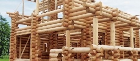 Барьерный грунт-антисептик BORMA SHIELD